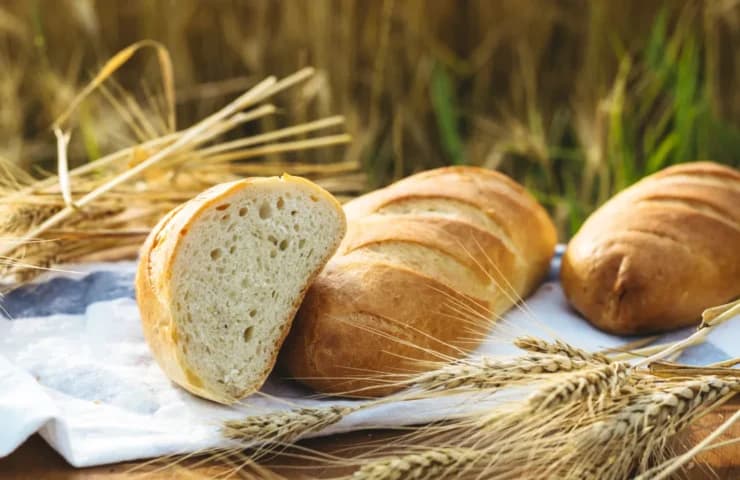 Organic vs. Conventional Farming